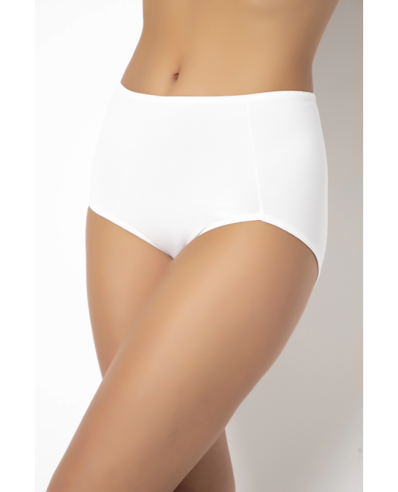 G-Box 913 Kadın Büyük Beden Hipster Külot