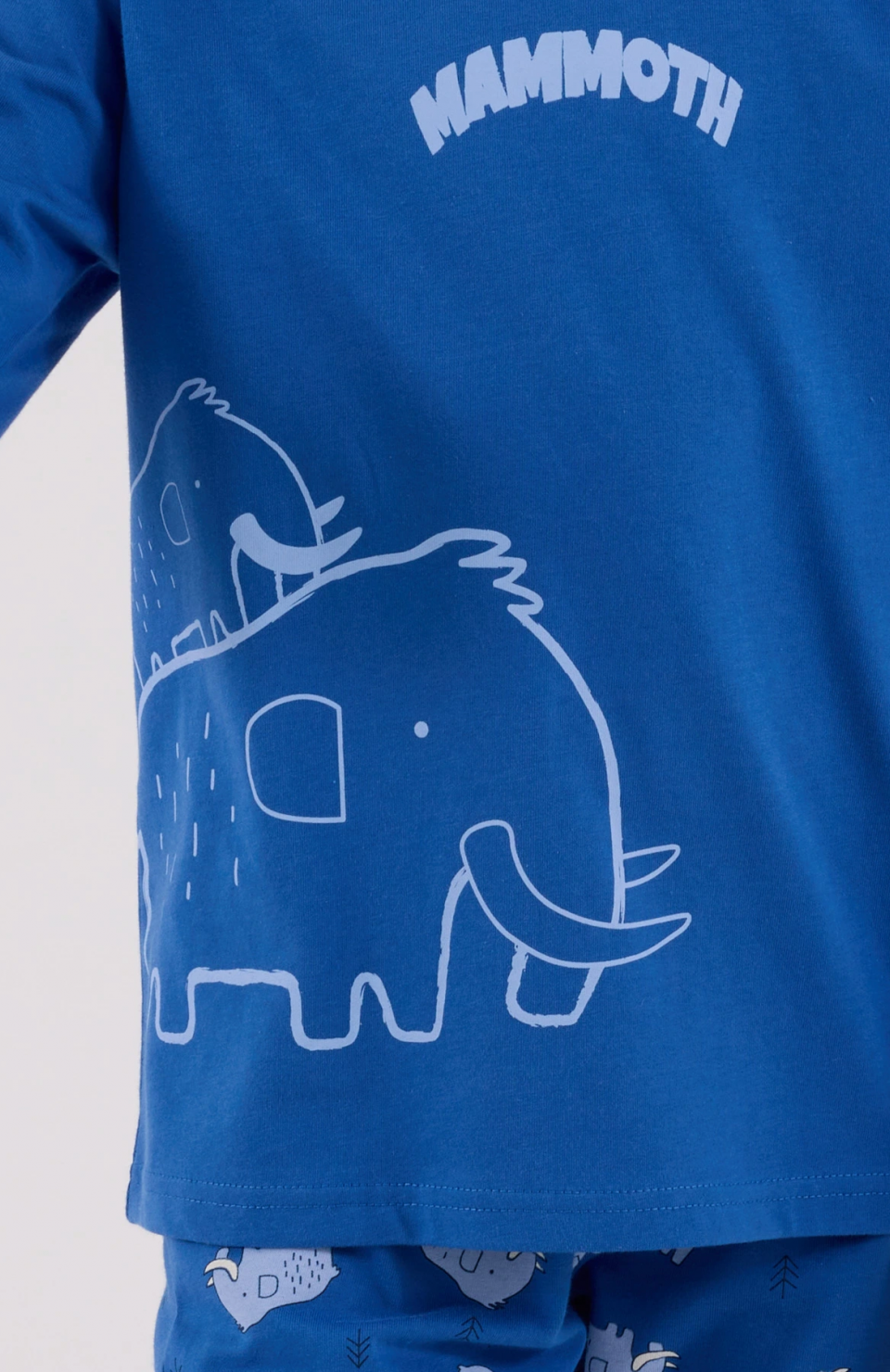 RolyPoly 3666-2 Erkek Çocuk Uzun Kol Pijama Takım