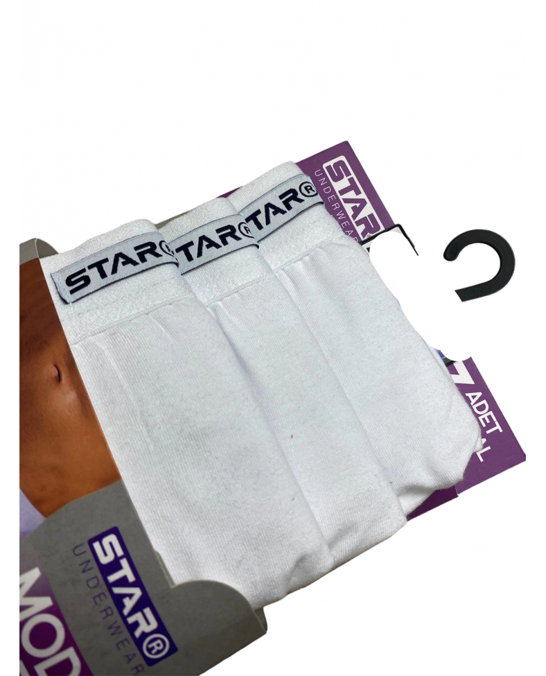 Star 109 Erkek 3'lü Modal Slip