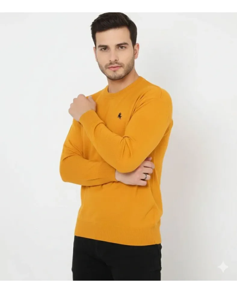 Erkek Bisiklet Yaka Nakış işlemeli Triko Kazak yumuşak dokulu Pamuklu ince - Turuncu