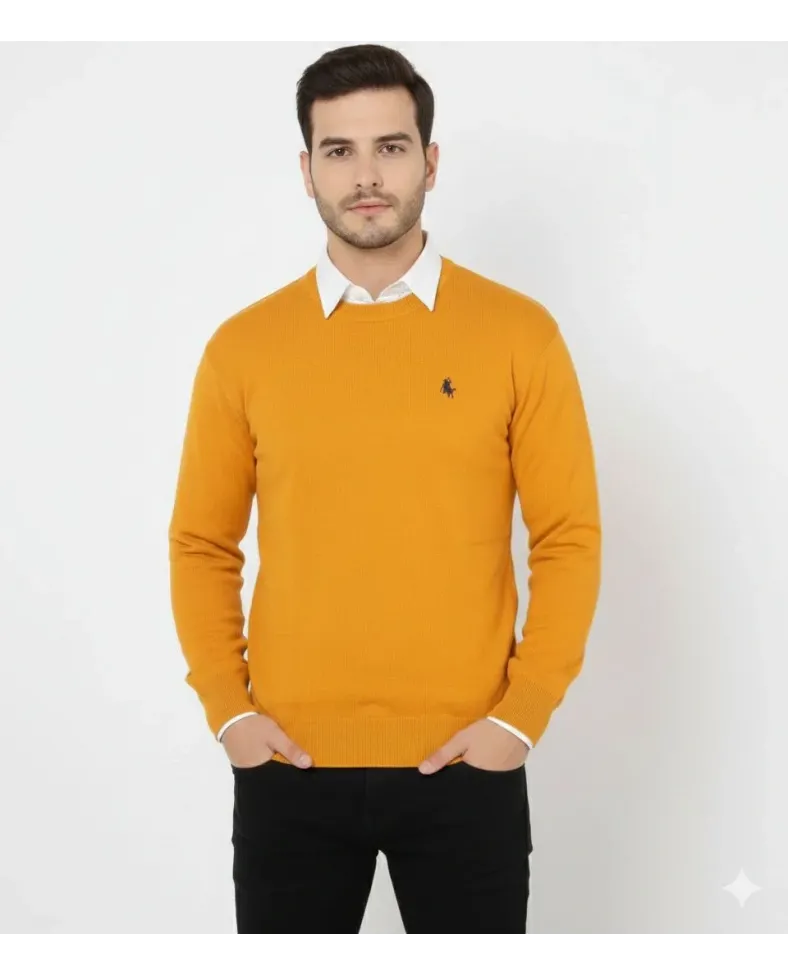 Erkek Bisiklet Yaka Nakış işlemeli Triko Kazak yumuşak dokulu Pamuklu ince - Turuncu