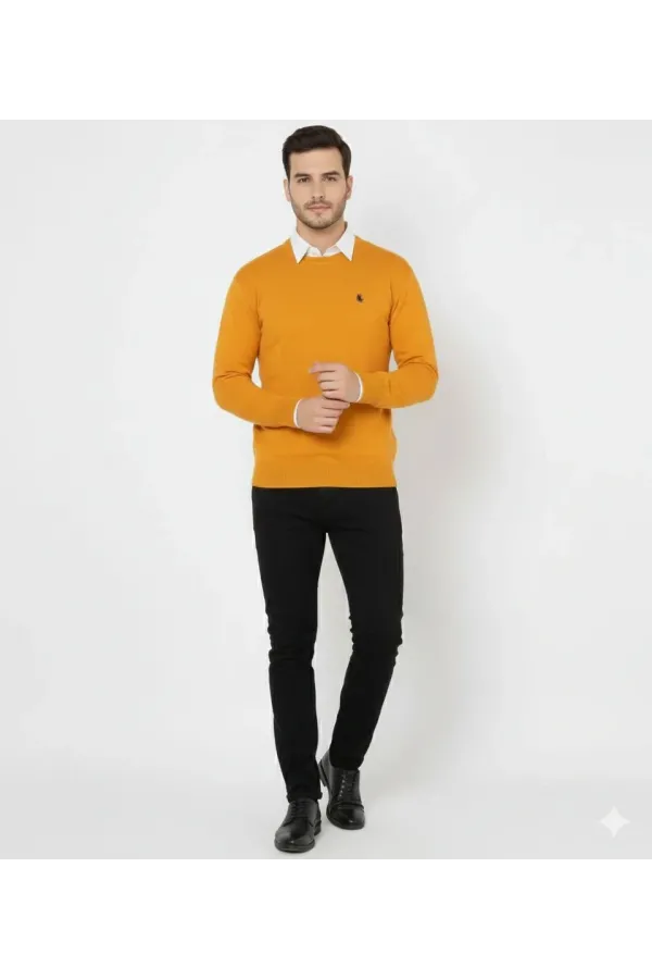 Erkek Bisiklet Yaka Nakış işlemeli Triko Kazak yumuşak dokulu Pamuklu ince - Turuncu