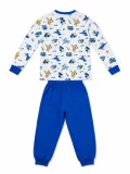 Erkek Çocuk Premium Penye Dinozor Desenli Uzun Kollu Pijama Takımı 2-11 Yaş - Mavi
