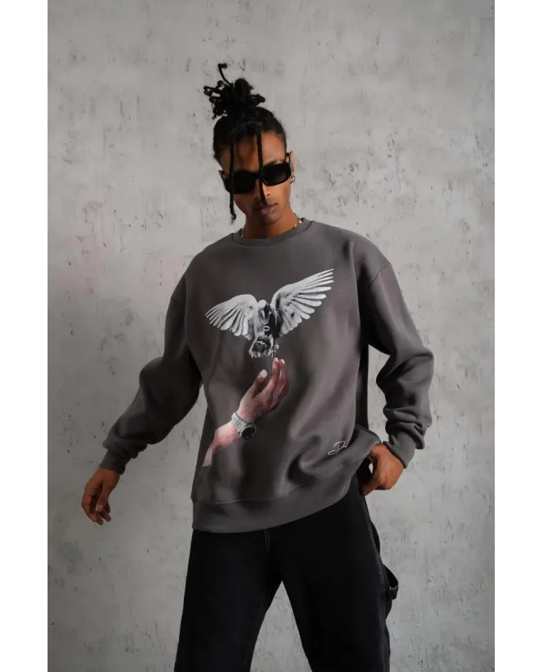 Erkek Güvercin Baskılı Sweatshirt - Gri