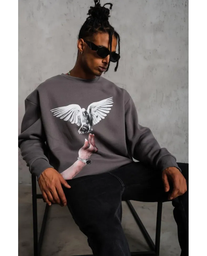Erkek Güvercin Baskılı Sweatshirt - Gri
