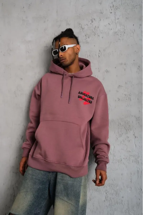 Erkek Şapkalı Güvercin Baskılı Kapşonlu Sweat - Gül Kurusu