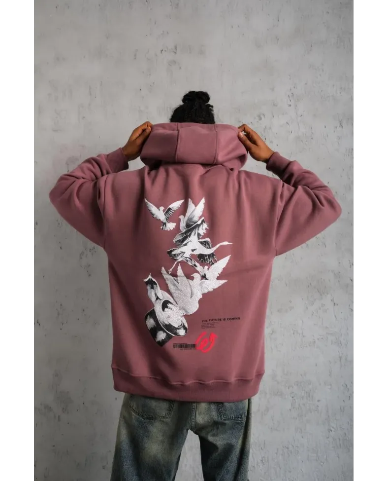 Erkek Şapkalı Güvercin Baskılı Kapşonlu Sweat - Gül Kurusu