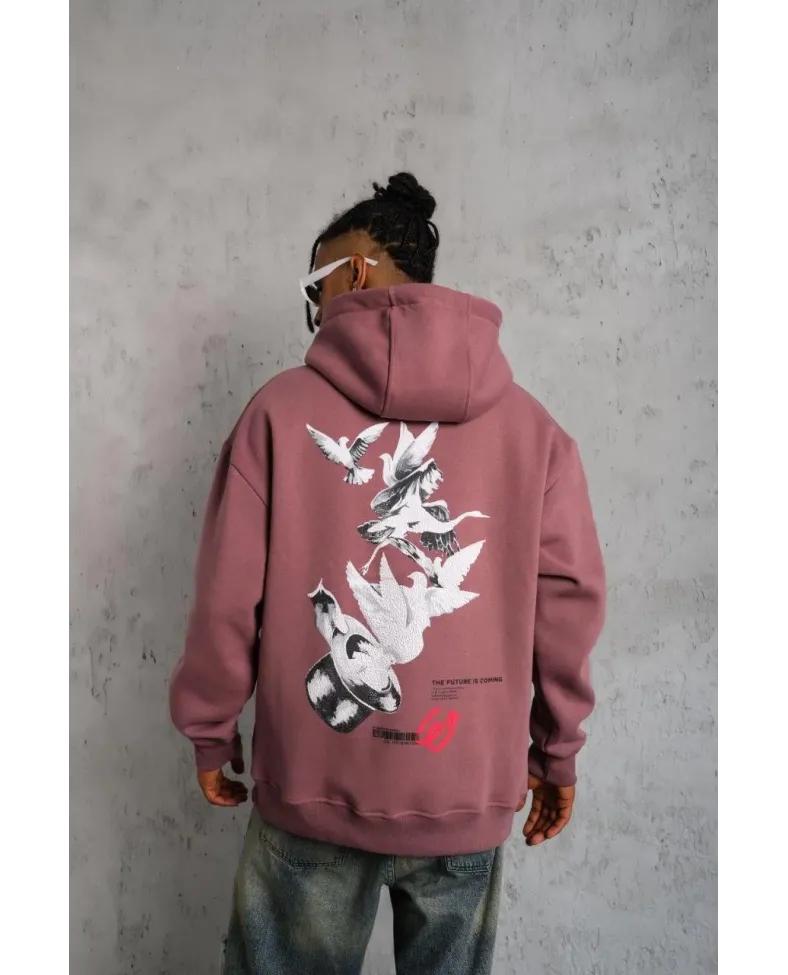 Erkek Şapkalı Güvercin Baskılı Kapşonlu Sweat - Gül Kurusu