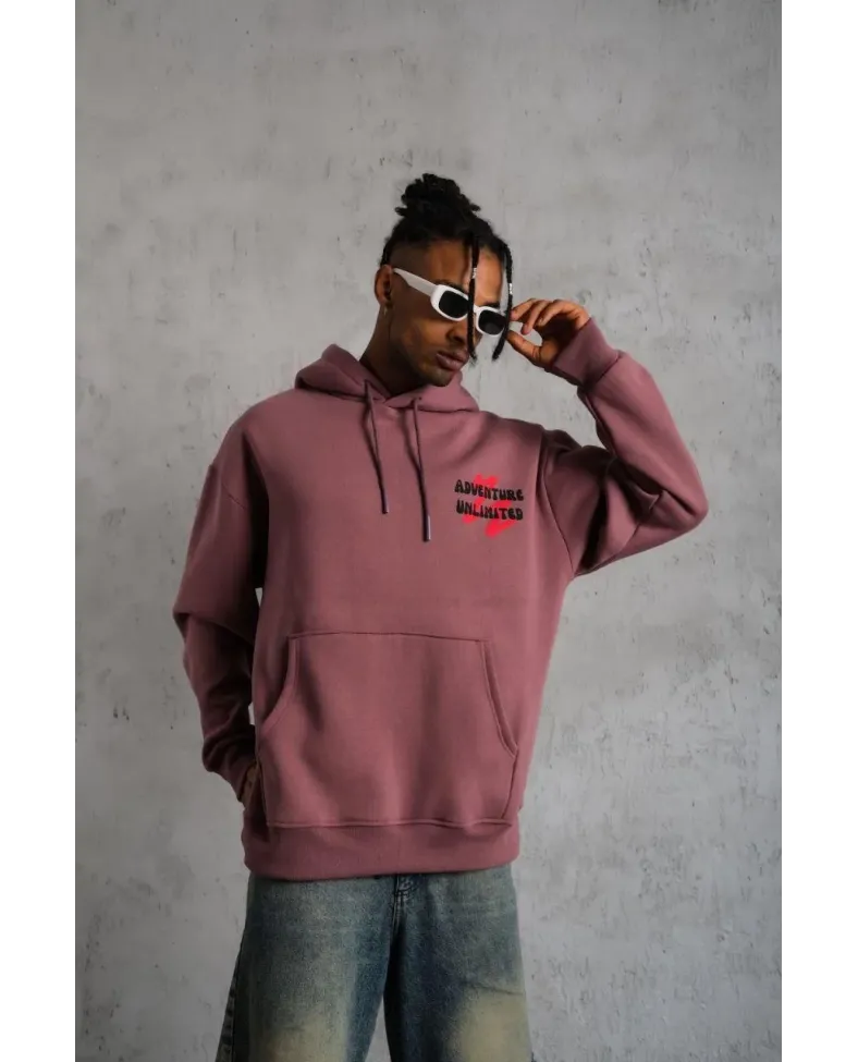 Erkek Şapkalı Güvercin Baskılı Kapşonlu Sweat - Gül Kurusu