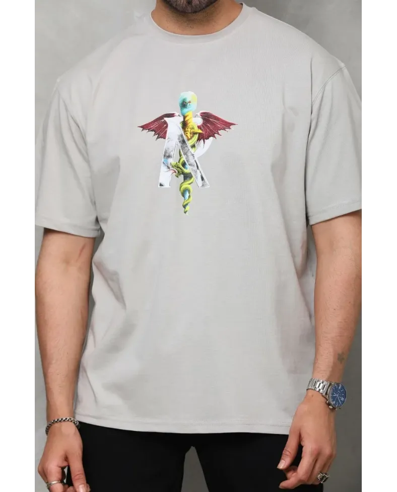 Erkek Bisiklet Yaka Baskılı T-Shirt - Gri