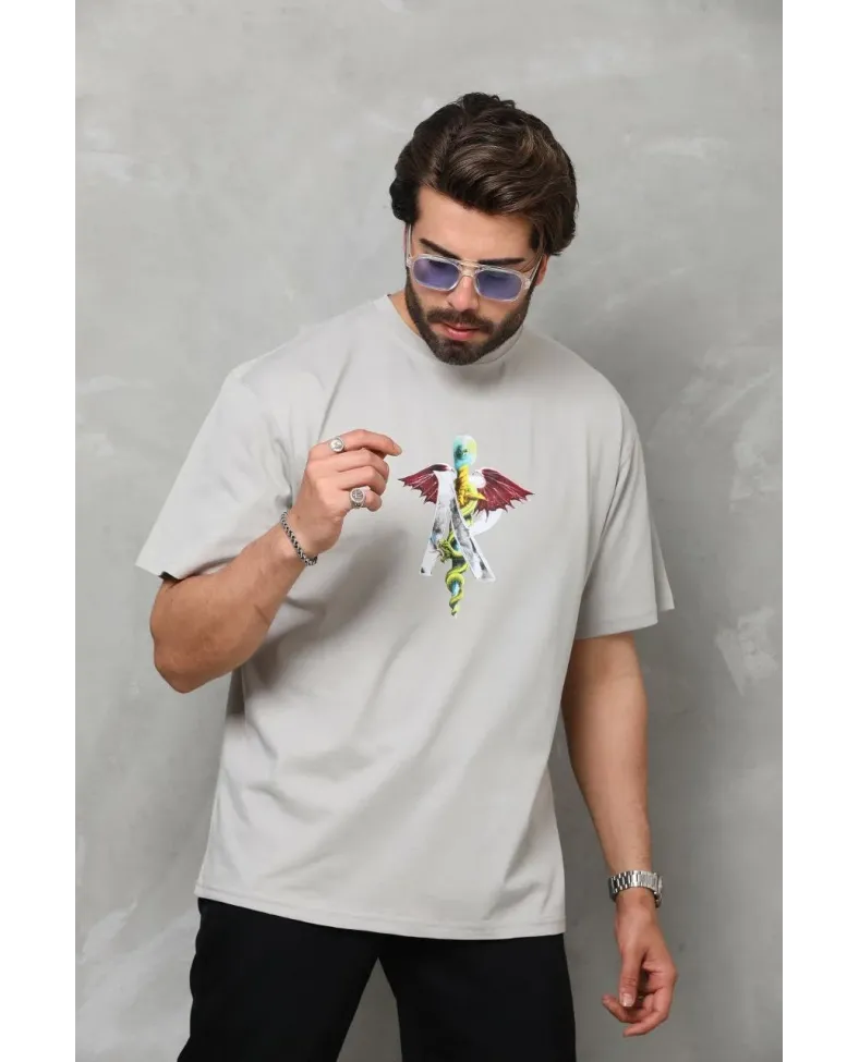 Erkek Bisiklet Yaka Baskılı T-Shirt - Gri