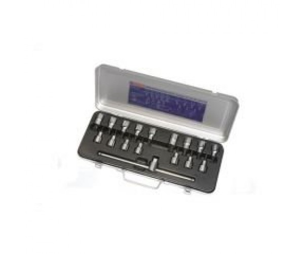 İzeltaş 1113006017 1/2'' Lokmalı Allen Ve Torx Uç Takımı 17 Parça