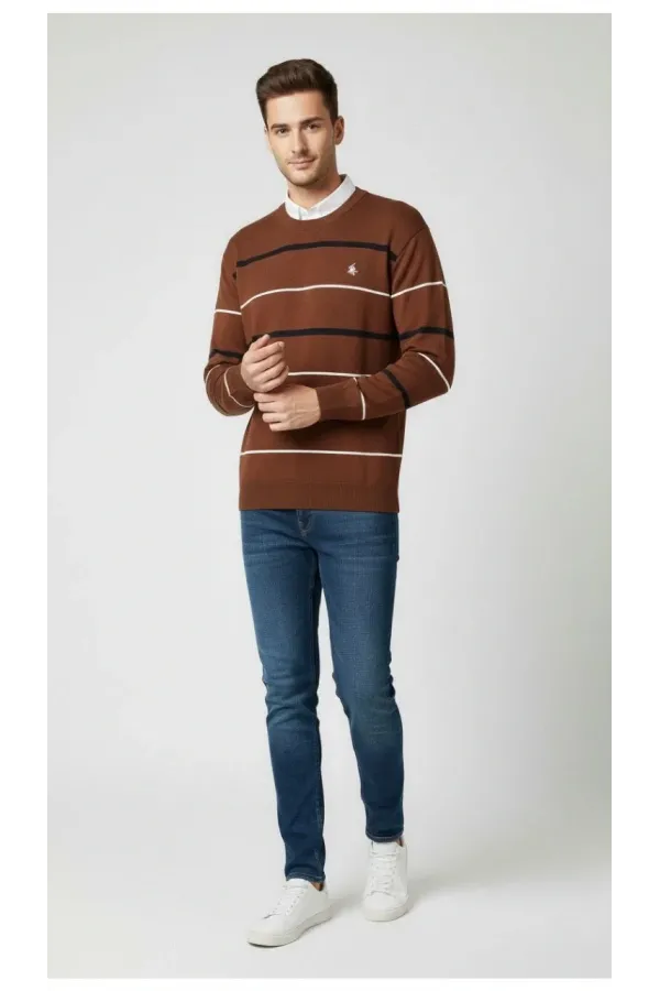 Erkek Bisiklet Yaka Cizgili Triko Kazak yumuşak dokulu Pamuklu ince Dokuma, uzun kollu Rahat Regular kalıp - Kahverengi